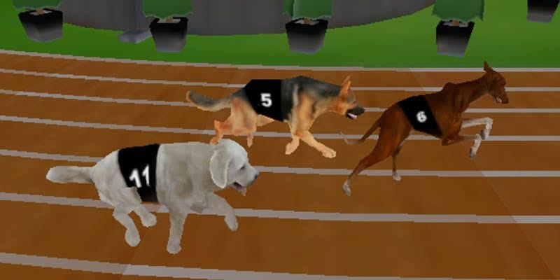 Đua chó là một hình thức của virtual sports, mô phỏng một giải đua thật